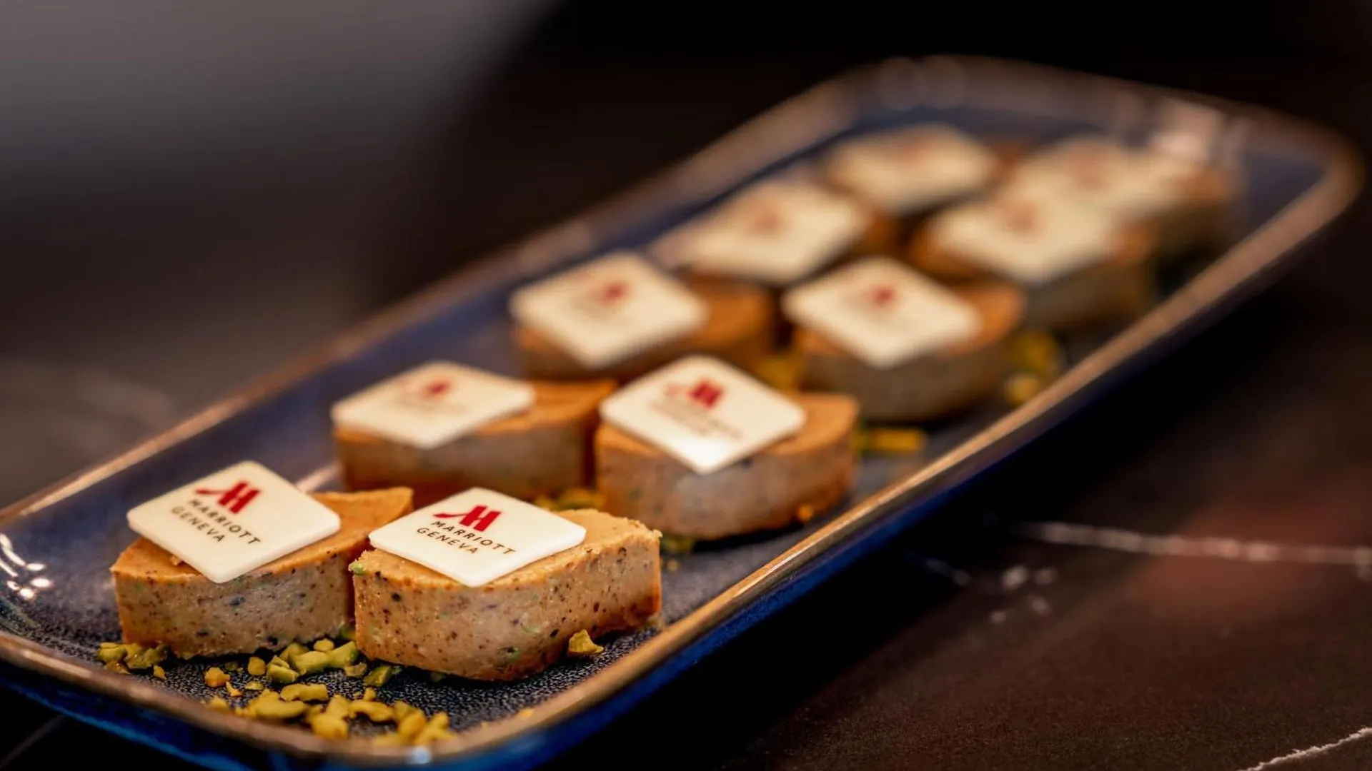 Geneva Marriott Hotel Meyrin